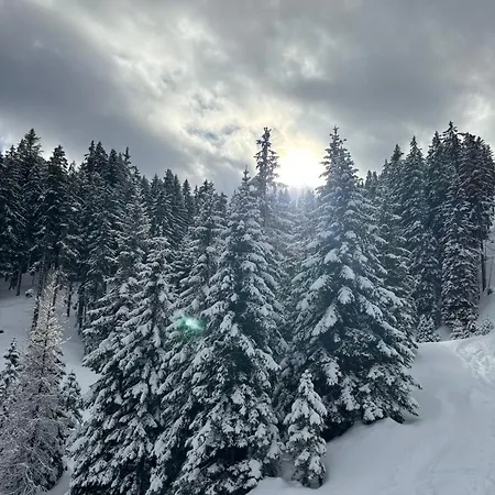 Gipfelblick *